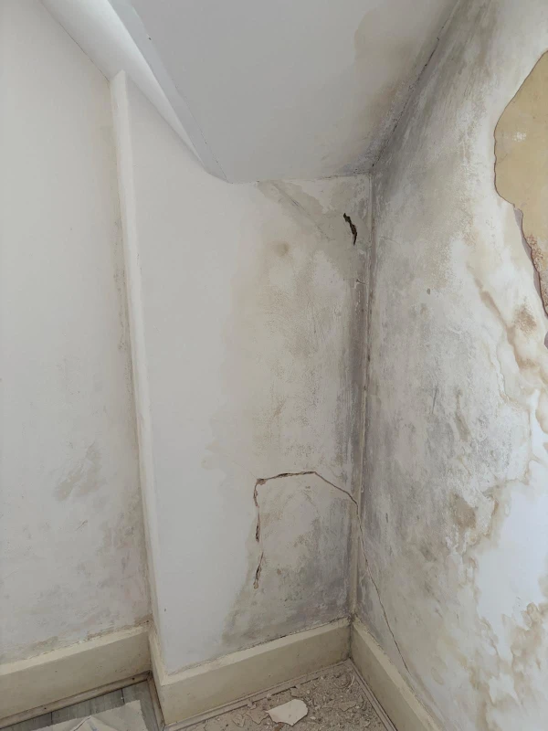 Wall Repair in Watford